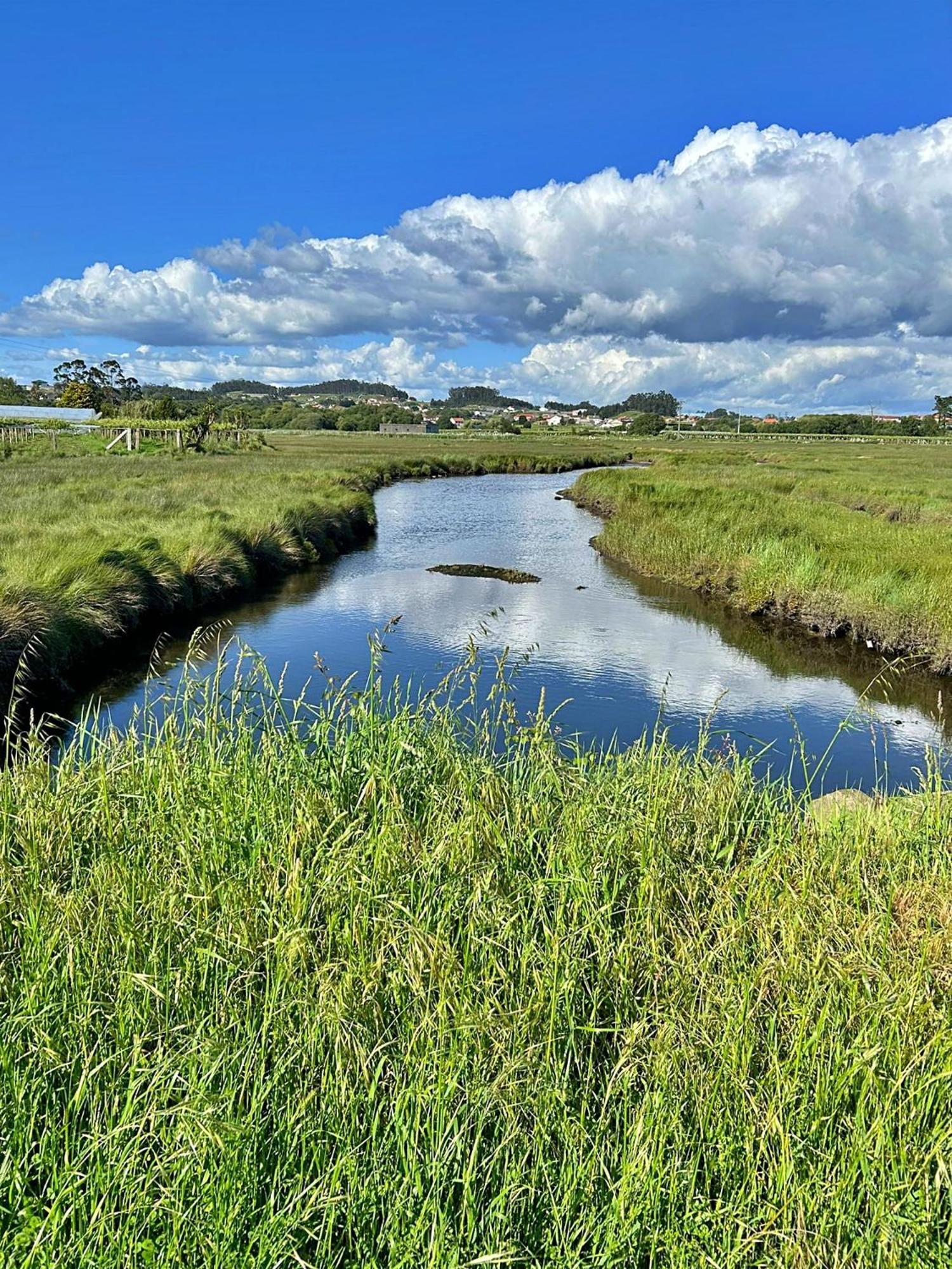 Marismas Do Umia - Apartamentos Turisticos Камбадос Номер фото