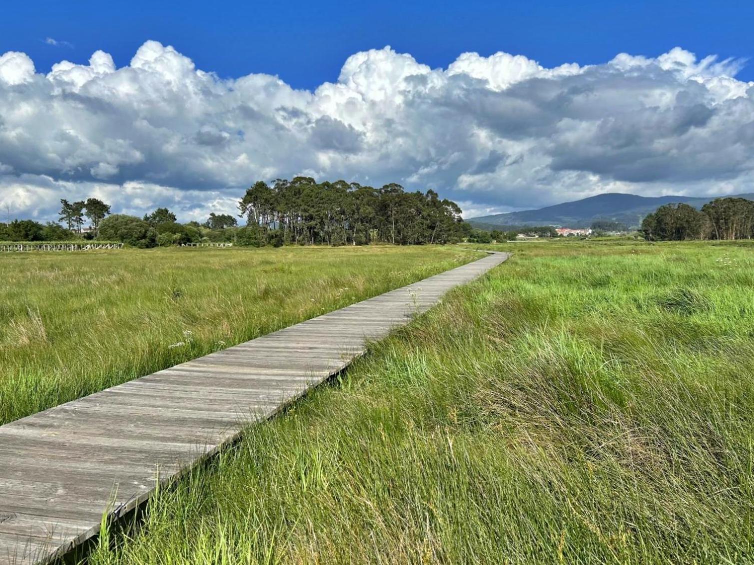 Marismas Do Umia - Apartamentos Turisticos Камбадос Номер фото